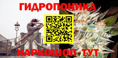 гидропоника Лесосибирск