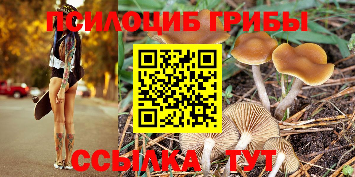 Галлюциногенные грибы Psilocybine cubensis  Вход с VPN  Соликамск 